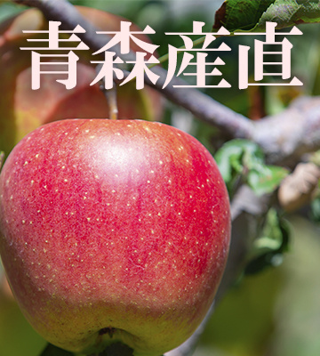 【2024年2月】サンふじりんごの写真